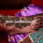 Mehndi Latest And Simple Designs For Girls 2012 008