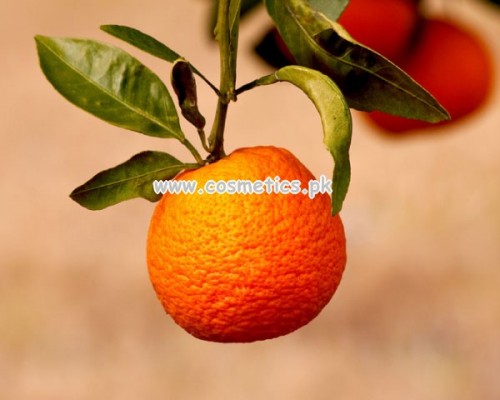 Beauty Recipes With Citrus Fruits For Winter 001