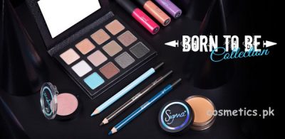 Sigma Beauty Born To Be Collection 2014 Review and Swatches 1