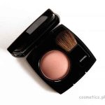 Chanel Jersey (80) Joue Contraste Blush On - Review, Swatches and Price 1