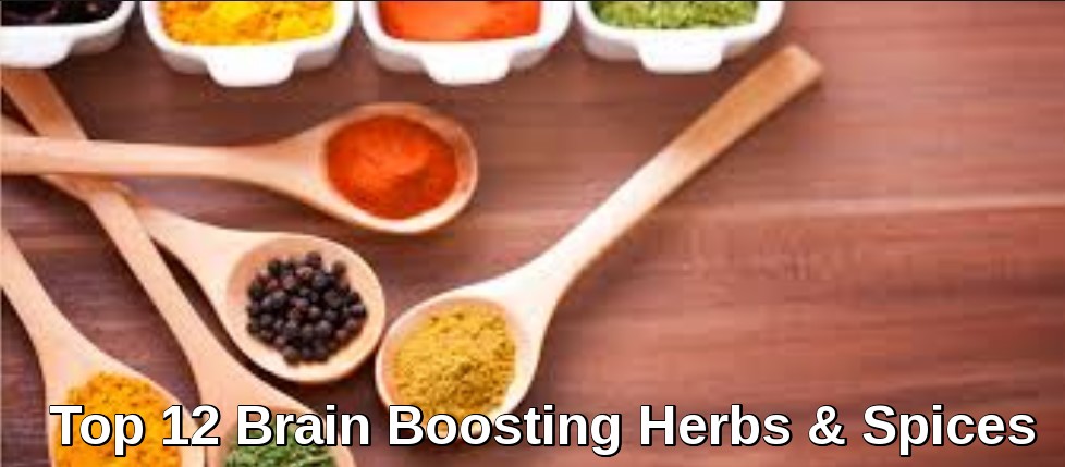 Brain Boosting Herbs & Spices - Cover