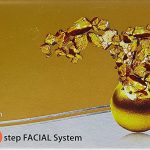 VLCC Premium Gold Facial Kit 6 In 1