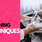 Shampooing: A Guide to Proper Hair Washing Techniques