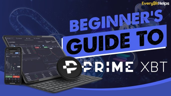 Understanding PrimeXBT Terms and Conditions Understanding PrimeXBT Terms and Conditions